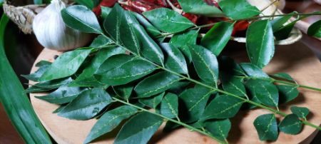 Picture for category Curry Leaves