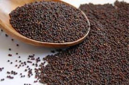 Picture for category Mustard
