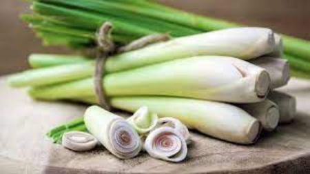 Picture for category Lemongrass
