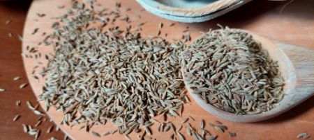 Picture for category Cumin