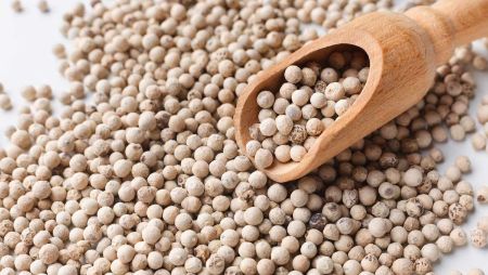 Picture for category White Pepper