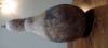 Goblet - Calabash Bottle