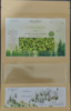 Picture of Ceylon Cardamom - 250 g