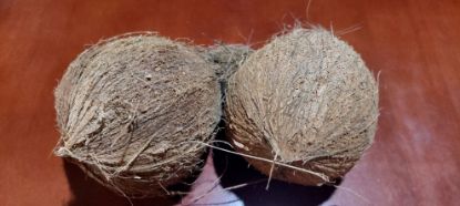 Picture of Coconut - peeled