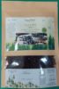 Picture of Ceylon Cloves - 500 g