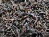 Ceylon Black Tea