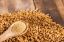 Fenugreek