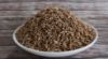 Cumin Seeds