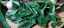 Curry Leaves